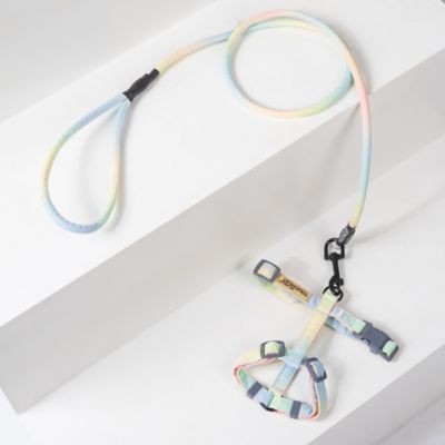Image showing  Rainbow Patterned Fashion Cat Harness and Leash