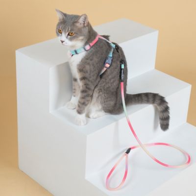 Image showing  Rainbow Patterned Fashion Cat Harness and Leash