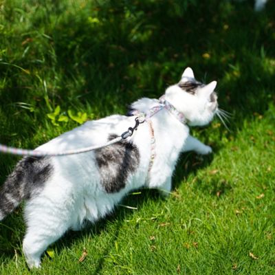 Image showing  Floral Patterned Fashion Cat Harness and Leash