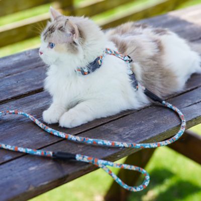 Image showing  Tropical Patterned Fashion Cat Harness and Leash