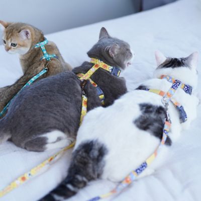 Image showing  Animal Patterned Fashion Cat Harness and Leash
