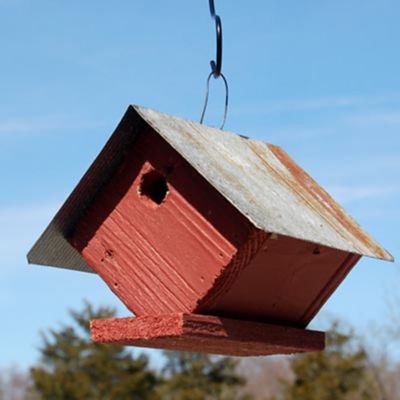 Bird in Hand Amish Made Wellsville Wren House