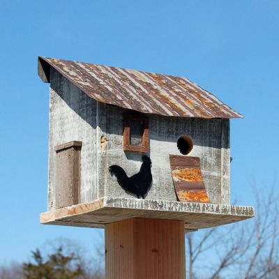 Bird in Hand Amish Made Cumberland Chicken Coop Bird House