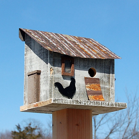 Bird in Hand Amish Made Cumberland Chicken Coop Bird House