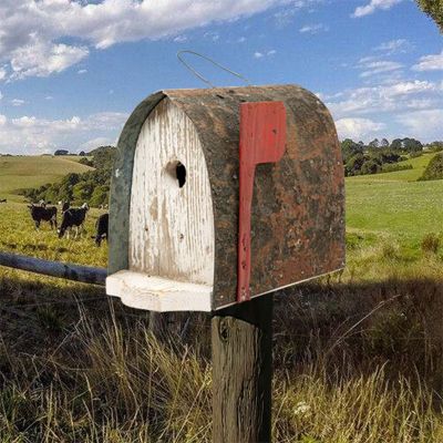 Bird in Hand Amish Made Mercer Mailbox Bird House