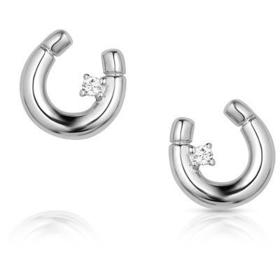 Montana Silversmiths Little Light Horseshoe Earrings, ER5867