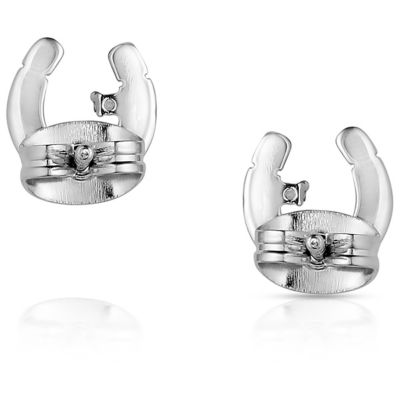 Image showing  Little Light Horseshoe Earrings, ER5867