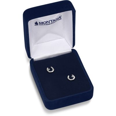 Image showing  Little Light Horseshoe Earrings, ER5867