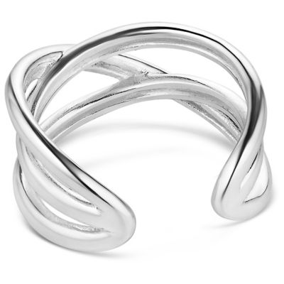 Image showing  Wrapped in Silver Ring