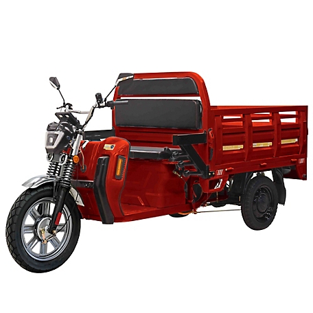 Massimo Cargo Max E-Trike, Red