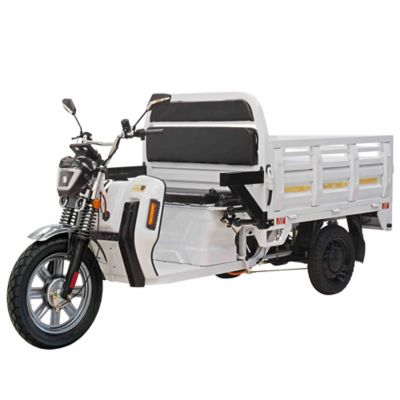 Massimo Cargo Max E-Trike, White