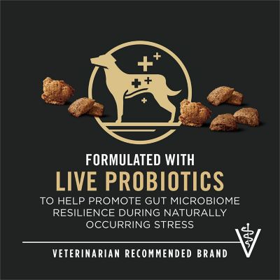 Image showing 5 th Purina Pro Plan Complete Essentials Shredded Blend Lamb and Rice High Protein Dog Food with Probiotics for Dogs