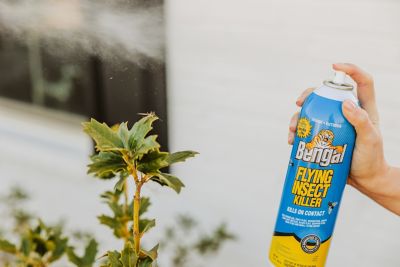 Image showing  16 oz. Flying Insect Killer, Indoor/Outdoor