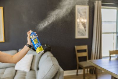 Image showing  16 oz. Flying Insect Killer, Indoor/Outdoor