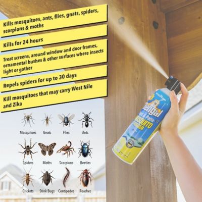 Image showing  Yard & Patio Mosquito Fogger