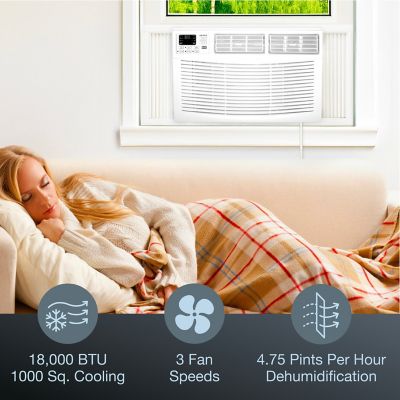 Image showing  18,000 BTU 230V Window-Mounted Air Conditioner with Remote Control