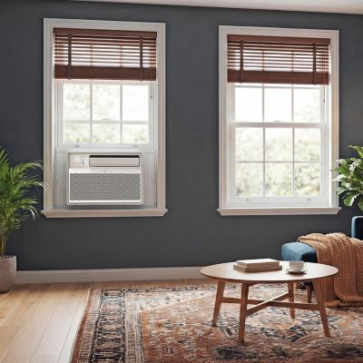 Image showing 5 th TCL 8,000 BTU Smart Inverter Window Air Conditioner