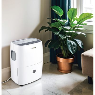 Image showing 8 th Whirlpool Energy Star 50-Pint Dehumidifier