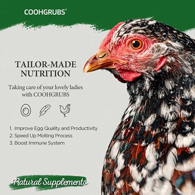 Image showing 5 th COOHGRUBS Premium Grade Dried Mealworms Chicken Treats, Tasty and Healthy Snacks for Hens Ducks