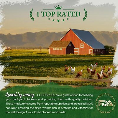 Image showing 6 th COOHGRUBS Premium Grade Dried Mealworms Chicken Treats, Tasty and Healthy Snacks for Hens Ducks