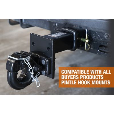 Image showing  Pintle Hook with Mount