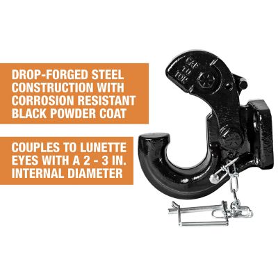 Image showing  Pintle Hook with Mount