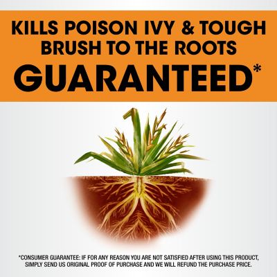 Image showing  Poison Ivy Plus Tough Brush Killer Concentrate