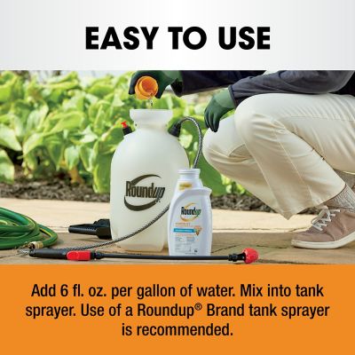 Image showing 6 th Roundup Poison Ivy Plus Tough Brush Killer Concentrate