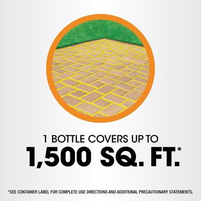 Image showing 8 th Roundup Poison Ivy Plus Tough Brush Killer Concentrate