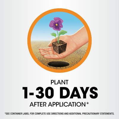 Image showing 9 th Roundup Poison Ivy Plus Tough Brush Killer Concentrate