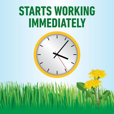 Image showing 7 th Roundup For Lawns Northern RTU Extended Wand