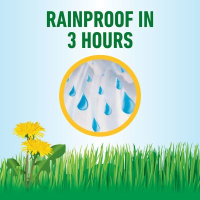 Image showing 8 th Roundup For Lawns Northern RTU Extended Wand