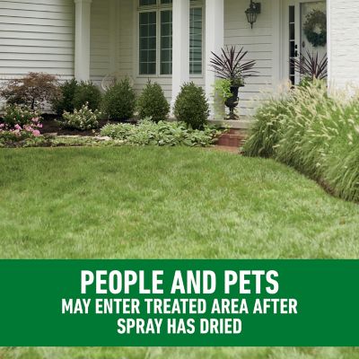 Image showing 9 th Roundup For Lawns Northern RTU Extended Wand