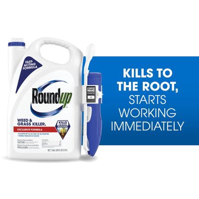 Image showing  Weed & Grass Killer RTU Wand