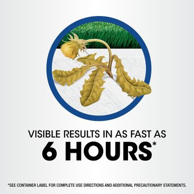 Image showing 5 th Roundup Weed & Grass Killer RTU Wand