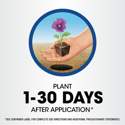 Image showing 6 th Roundup Weed & Grass Killer RTU Wand