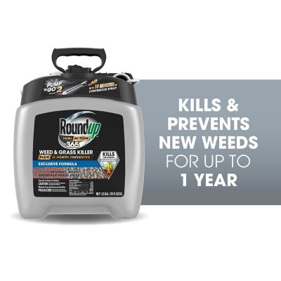 Image showing  Dual Action 365 Weed & Grass Killer Plus 12 Month Preventer PNG