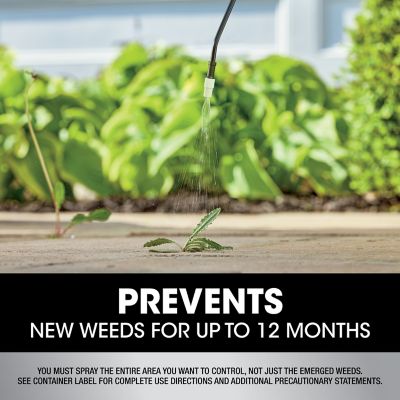 Image showing 9 th Roundup Dual Action 365 Weed & Grass Killer Plus 12 Month Preventer PNG