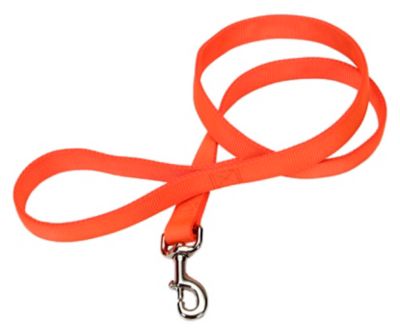 image of a Hunting Dog Leashes