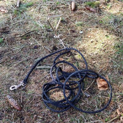 Image showing  Spiral Dog Tie Out Stake for Hard Ground, 17 in., Up to 50 lb. Capacity