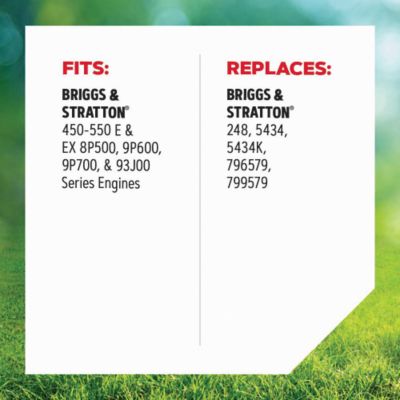 Image showing  Air Filter for Walk-Behind Mowers, Fits Briggs & Stratton Engines, R, 30-183