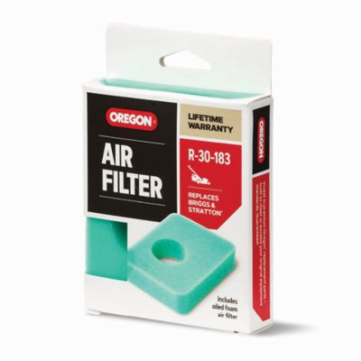 Image showing  Air Filter for Walk-Behind Mowers, Fits Briggs & Stratton Engines, R, 30-183