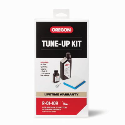 Oregon Tune-up Kit for Walk-behind Mowers, Fits: Briggs & Stratton: Quantum Engines, R-01-109