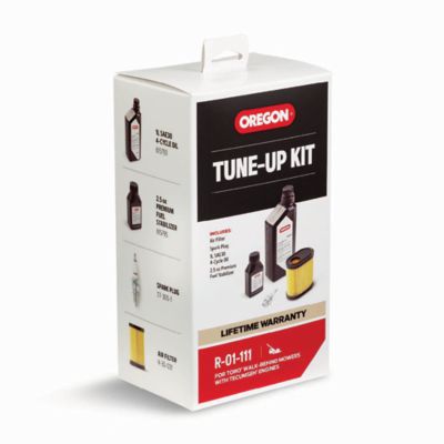 Image showing  Lawn Mower Engine Tune-Up Maintenance Kit for Tecumseh, R-01-111