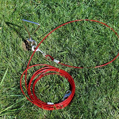 Image showing  Dog Tie Out Cable with Spiral Stake, 15 ft., Up to 80 lb. Capacity