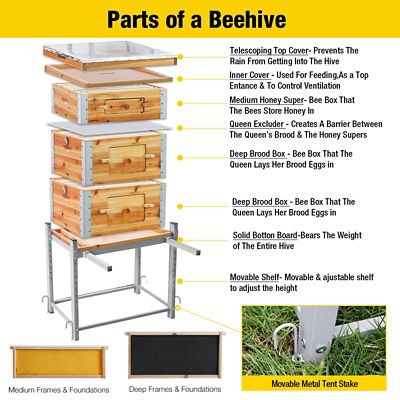 Image showing 5 th Aivituvin Wooden Bee Box with Metal Frame, Beeswax Coating, Large