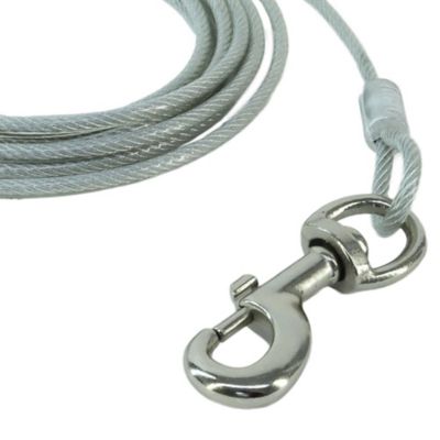 Image showing  Dog Tie Out Cable, 20 ft., Up to 150 lb. Capacity