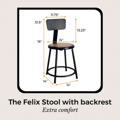 Image showing  Felix Collection Steel Stool with Backrest