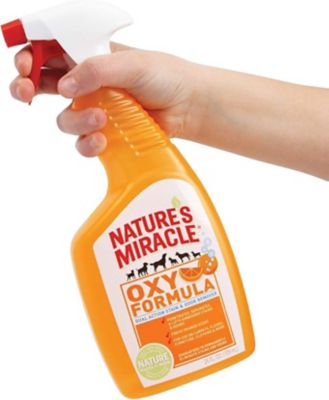 Image showing  Orange Oxy Dog Trigger 24 oz.