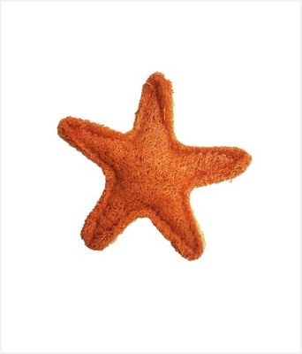 Hip Doggie Loofah Starfish Dental Dog Toy - Large